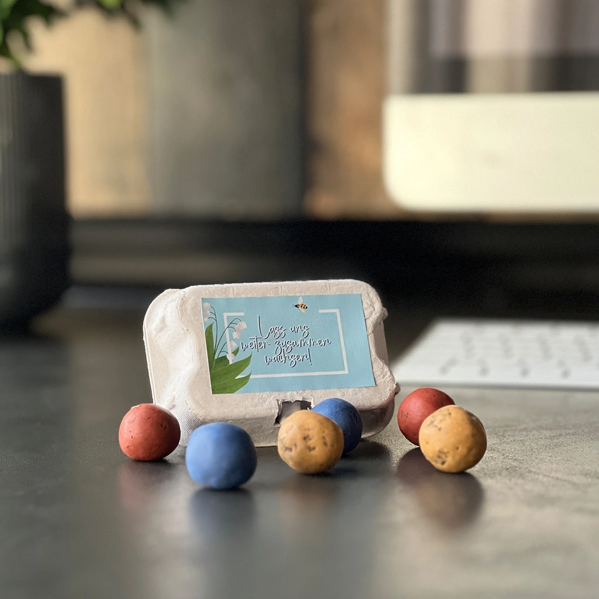 Zusammen Wachsen - Saatbomben Sixpack 1 Zusammen Wachsen - Saatbomben Sixpack