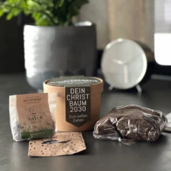 Pflanzset "Dein Eigener Christbaum" -Snack Verkäufe 2024 WP13280 Pflanzset Dein eigener Christbaum 1 95247